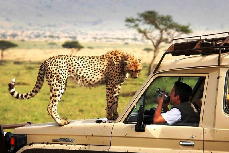South Africa Safari & Zanzibar