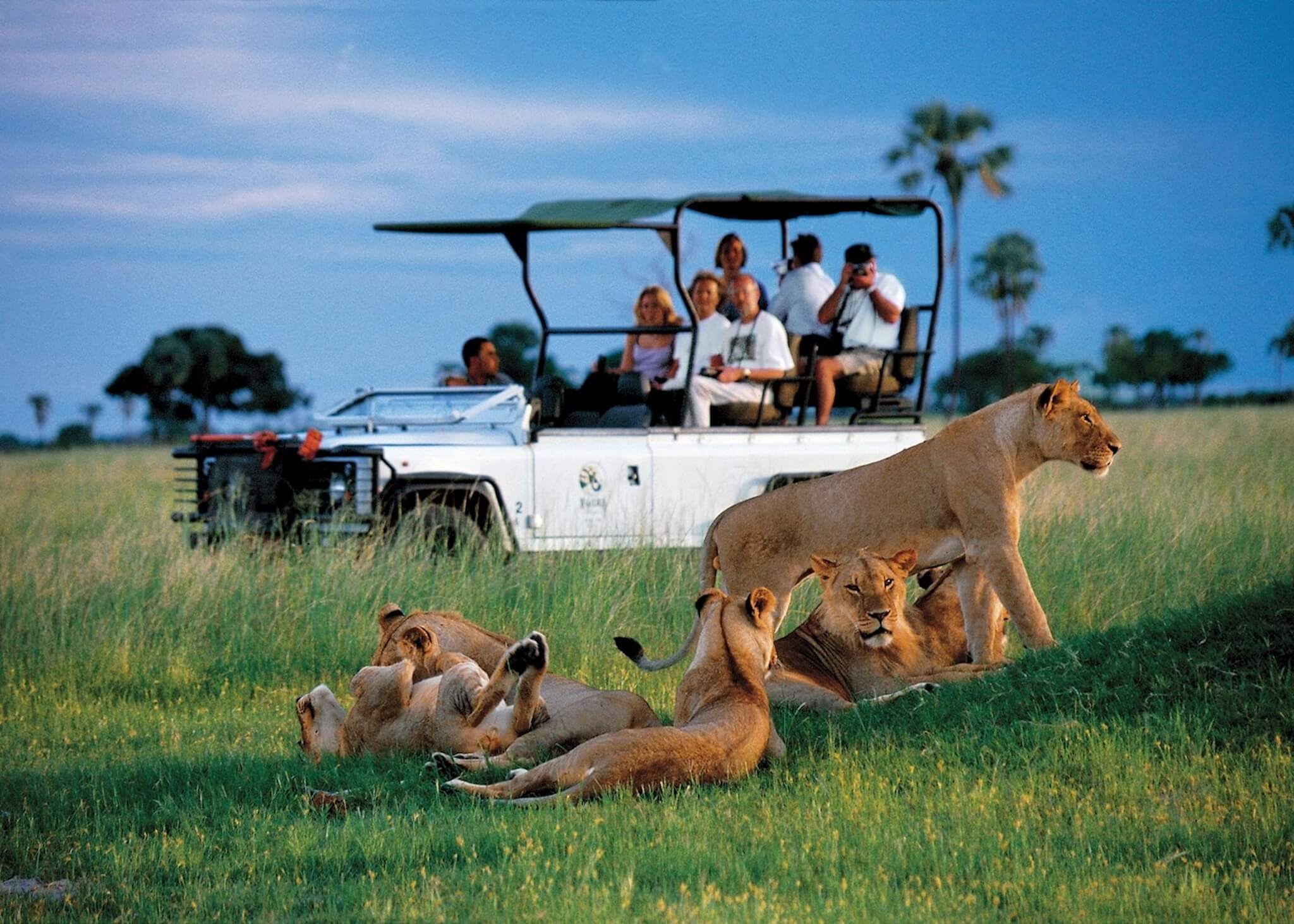 Signature Luxury Safari – Kenya & Zanzibar